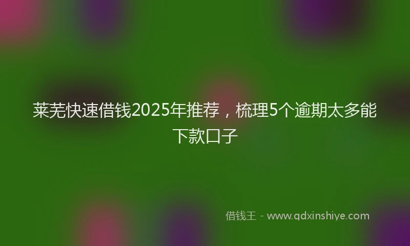 莱芜快速借钱2025年推荐，梳理5个逾期太多能下款口子