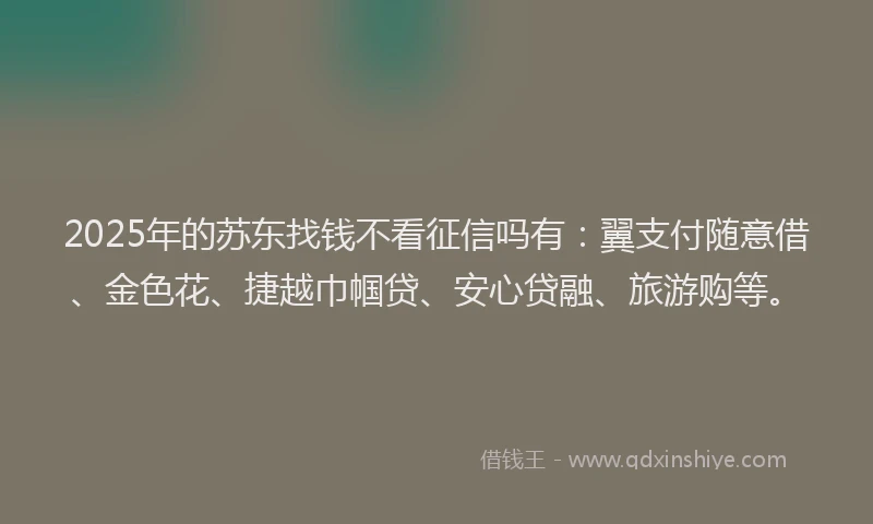 2025年的苏东找钱不看征信吗有：翼支付随意借、金色花、捷越巾帼贷、安心贷融、旅游购等。