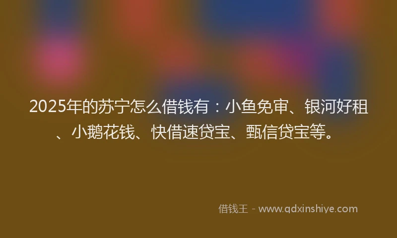 2025年的苏宁怎么借钱有：小鱼免审、银河好租、小鹅花钱、快借速贷宝、甄信贷宝等。