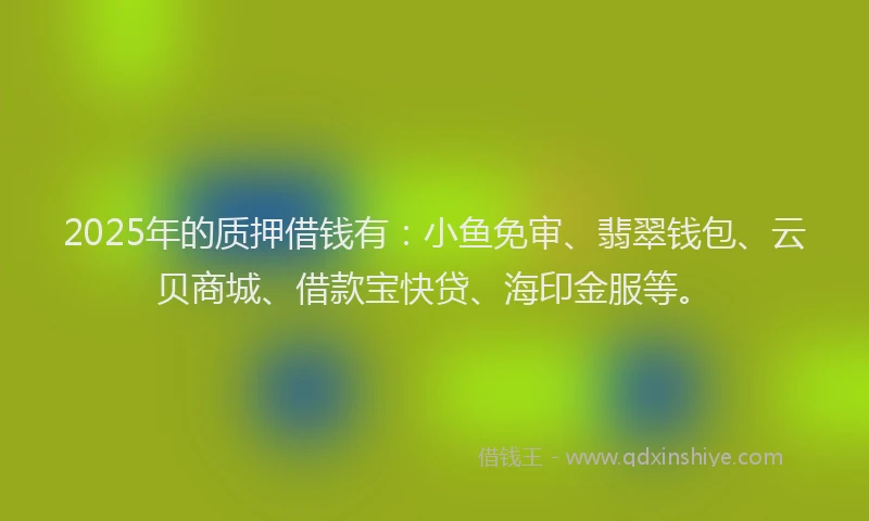 2025年的质押借钱有：小鱼免审、翡翠钱包、云贝商城、借款宝快贷、海印金服等。