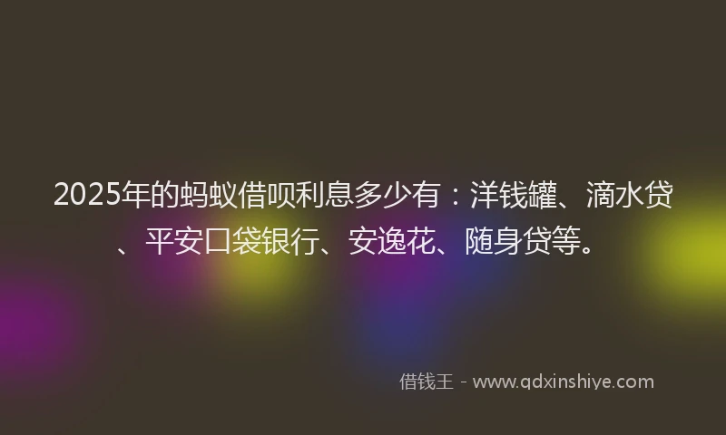 2025年的蚂蚁借呗利息多少有：洋钱罐、滴水贷、平安口袋银行、安逸花、随身贷等。