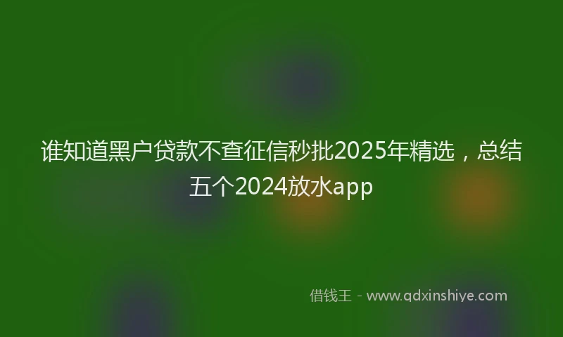谁知道黑户贷款不查征信秒批2025年精选，总结五个2024放水app