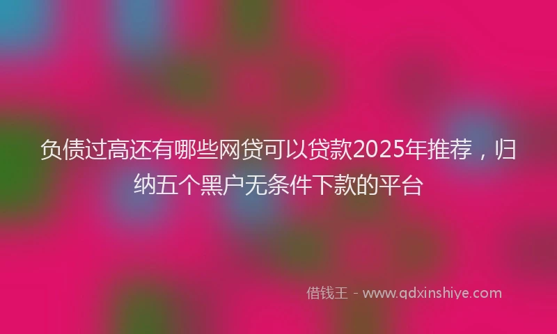 负债过高还有哪些网贷可以贷款2025年推荐，归纳五个黑户无条件下款的平台