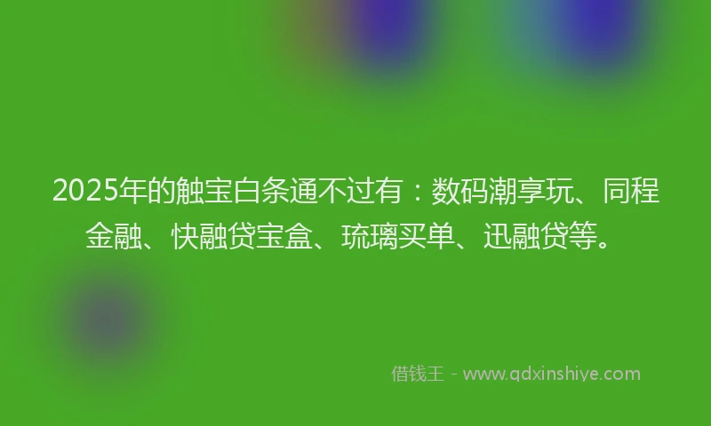 2025年的触宝白条通不过有：数码潮享玩、同程金融、快融贷宝盒、琉璃买单、迅融贷等。