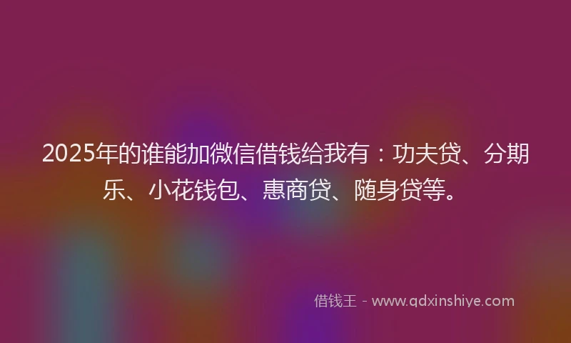 2025年的谁能加微信借钱给我有：功夫贷、分期乐、小花钱包、惠商贷、随身贷等。