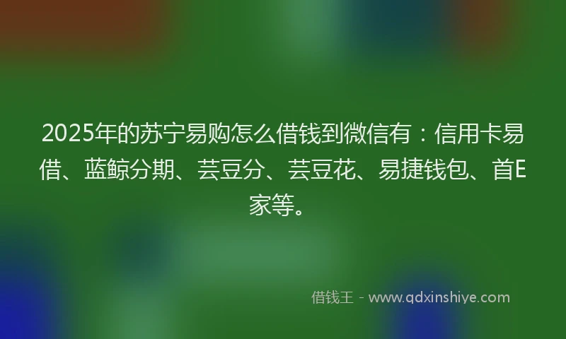 2025年的苏宁易购怎么借钱到微信有：信用卡易借、蓝鲸分期、芸豆分、芸豆花、易捷钱包、首E家等。