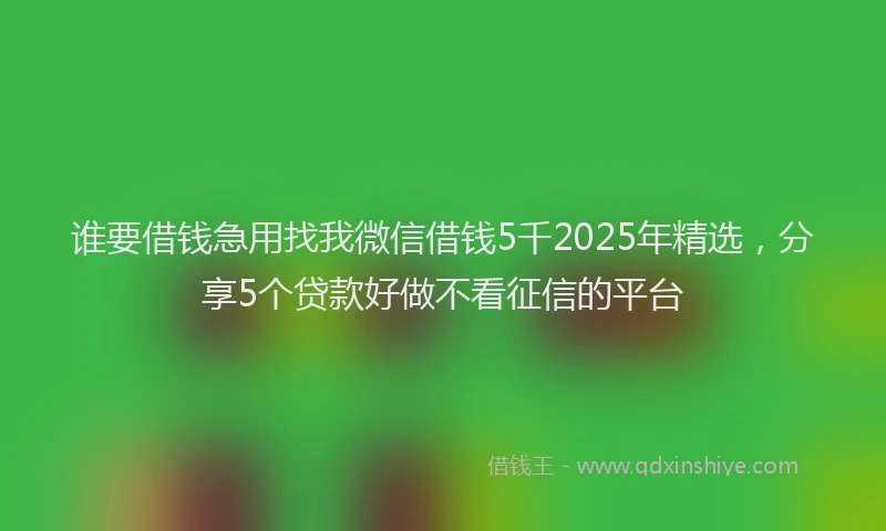 谁要借钱急用找我微信借钱5千2025年精选，分享5个贷款好做不看征信的平台