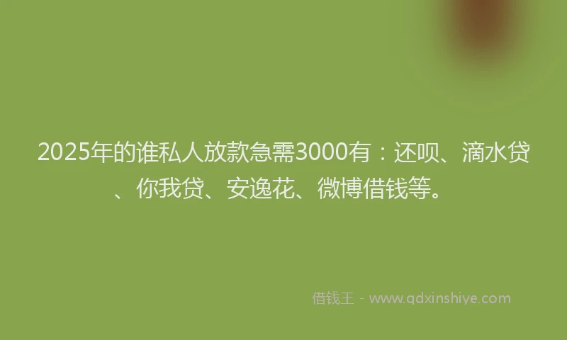 2025年的谁私人放款急需3000有：还呗、滴水贷、你我贷、安逸花、微博借钱等。