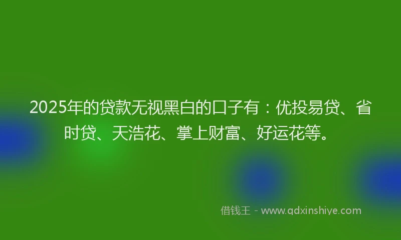 2025年的贷款无视黑白的口子有：优投易贷、省时贷、天浩花、掌上财富、好运花等。