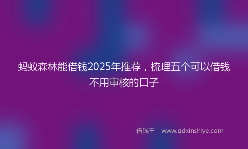 蚂蚁森林能借钱2025年推荐，梳理五个可以借钱不用审核的口子