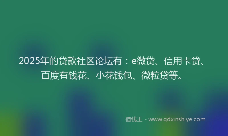 2025年的贷款社区论坛有：e微贷、信用卡贷、百度有钱花、小花钱包、微粒贷等。