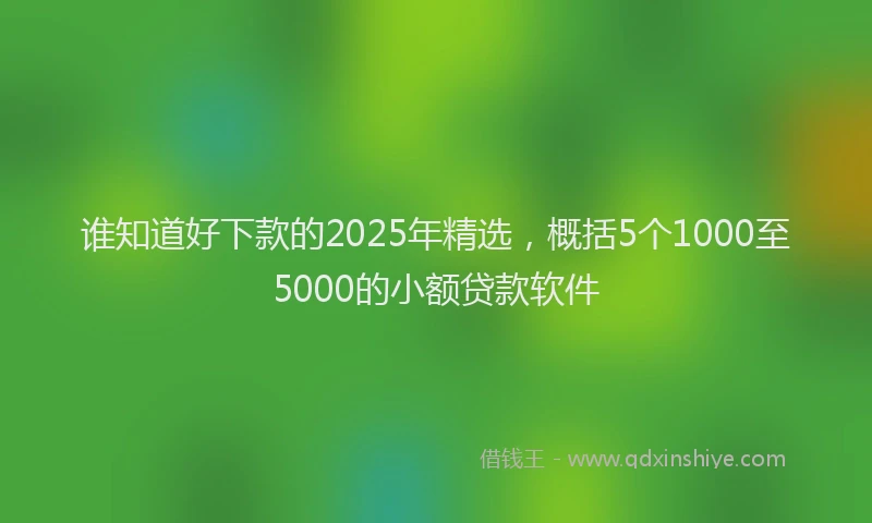 谁知道好下款的2025年精选，概括5个1000至5000的小额贷款软件