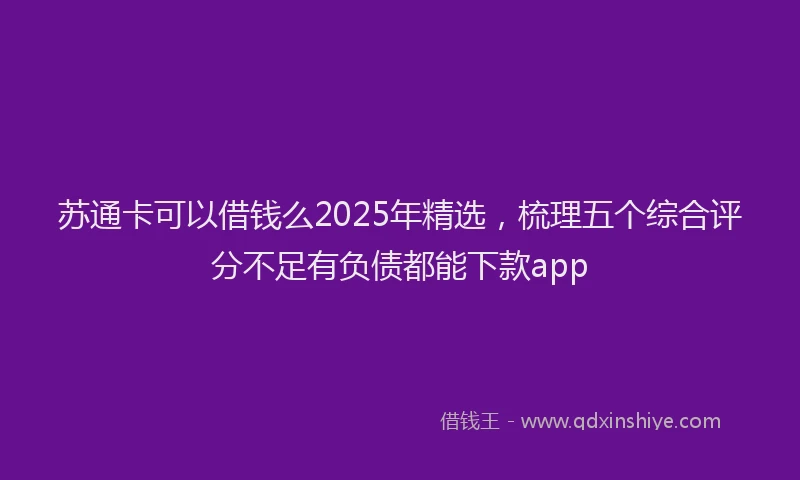 苏通卡可以借钱么2025年精选，梳理五个综合评分不足有负债都能下款app