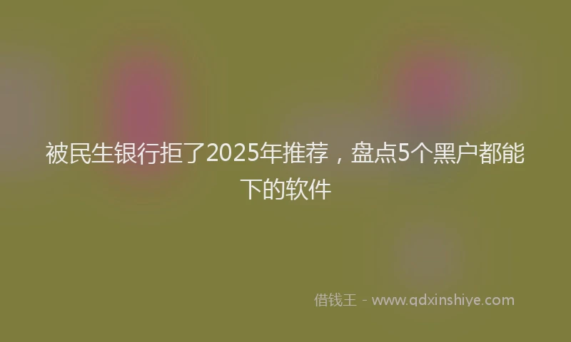 被民生银行拒了2025年推荐，盘点5个黑户都能下的软件