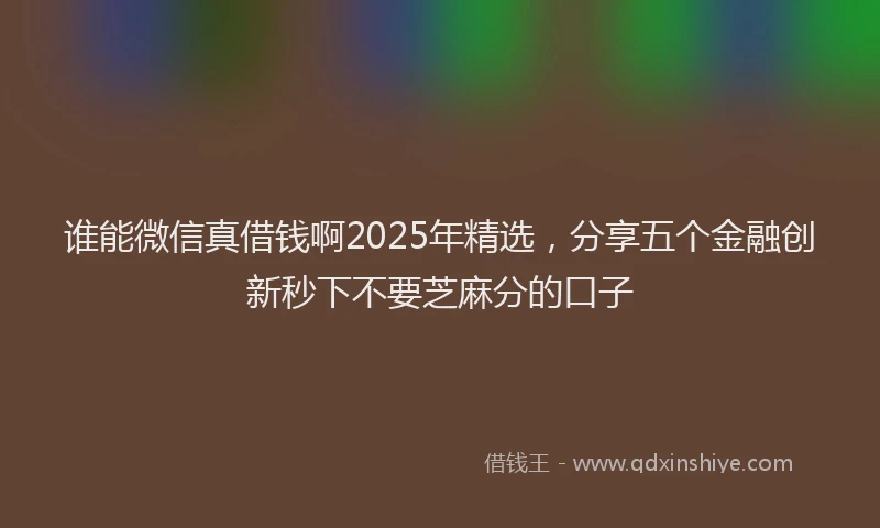 谁能微信真借钱啊2025年精选，分享五个金融创新秒下不要芝麻分的口子