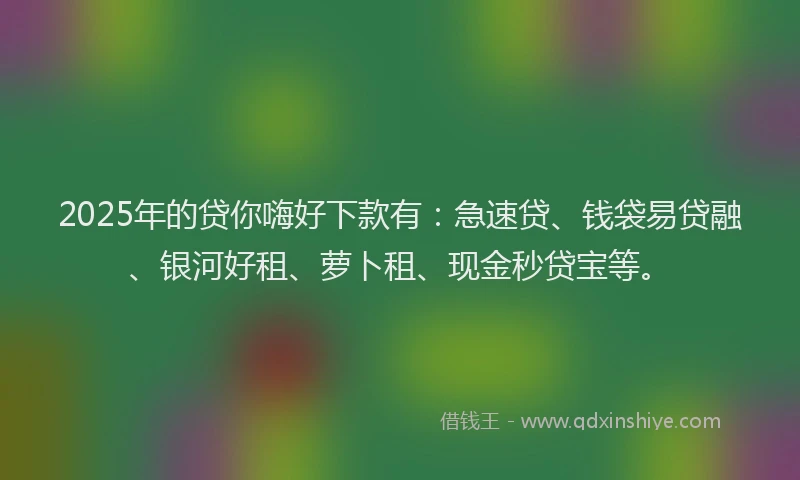 2025年的贷你嗨好下款有：急速贷、钱袋易贷融、银河好租、萝卜租、现金秒贷宝等。