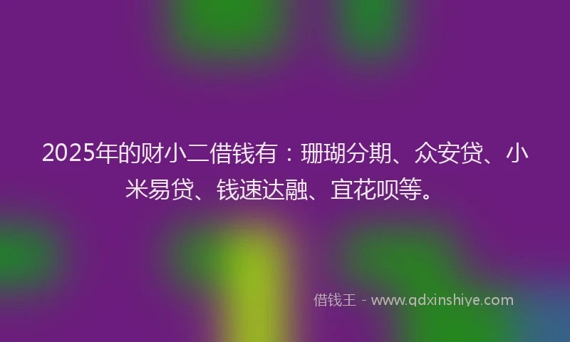 2025年的财小二借钱有：珊瑚分期、众安贷、小米易贷、钱速达融、宜花呗等。