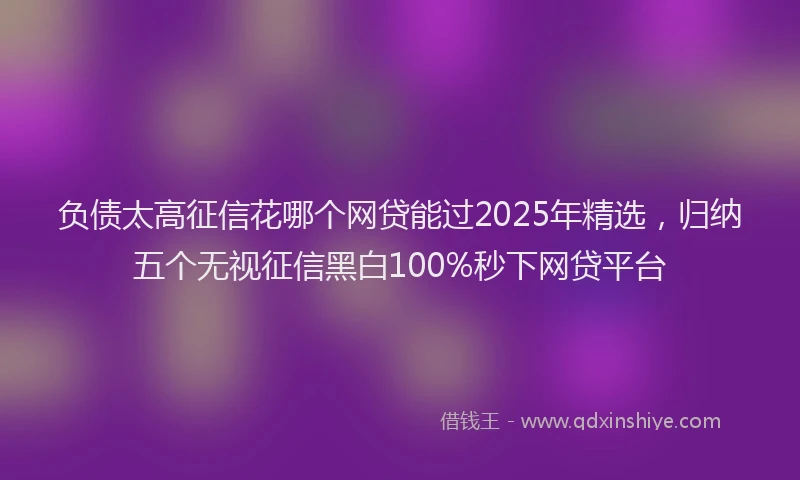 负债太高征信花哪个网贷能过2025年精选，归纳五个无视征信黑白100%秒下网贷平台