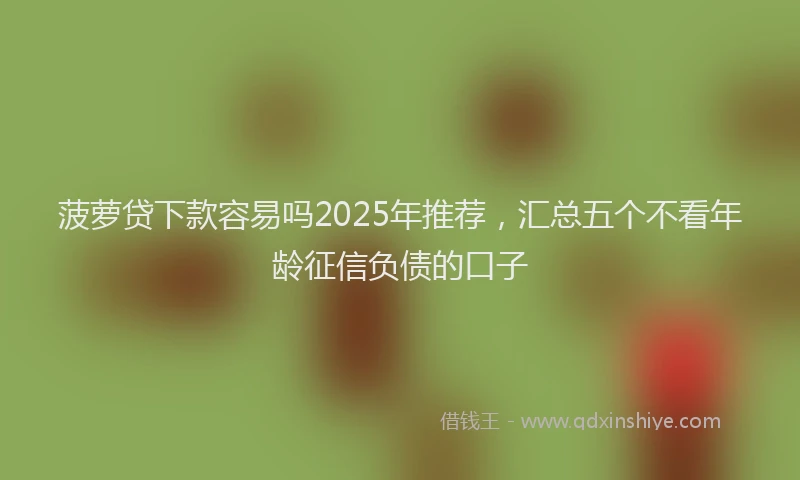 菠萝贷下款容易吗2025年推荐，汇总五个不看年龄征信负债的口子