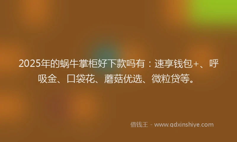 2025年的蜗牛掌柜好下款吗有：速享钱包+、呼吸金、口袋花、蘑菇优选、微粒贷等。
