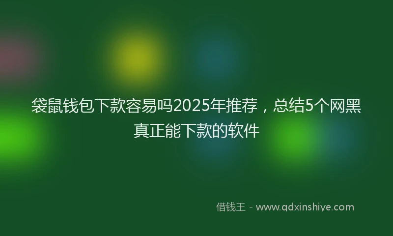 袋鼠钱包下款容易吗2025年推荐，总结5个网黑真正能下款的软件