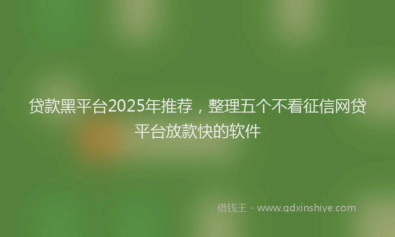 贷款黑平台2025年推荐，整理五个不看征信网贷平台放款快的软件