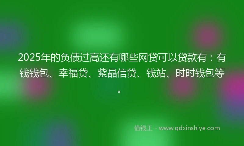 2025年的负债过高还有哪些网贷可以贷款有:有钱钱包、幸福贷、紫晶信贷、钱站、时时钱包等。