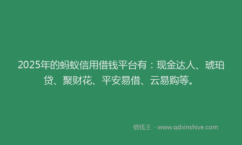 2025年的蚂蚁信用借钱平台有：现金达人、琥珀贷、聚财花、平安易借、云易购等。