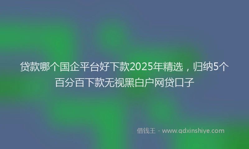 贷款哪个国企平台好下款2025年精选，归纳5个百分百下款无视黑白户网贷口子
