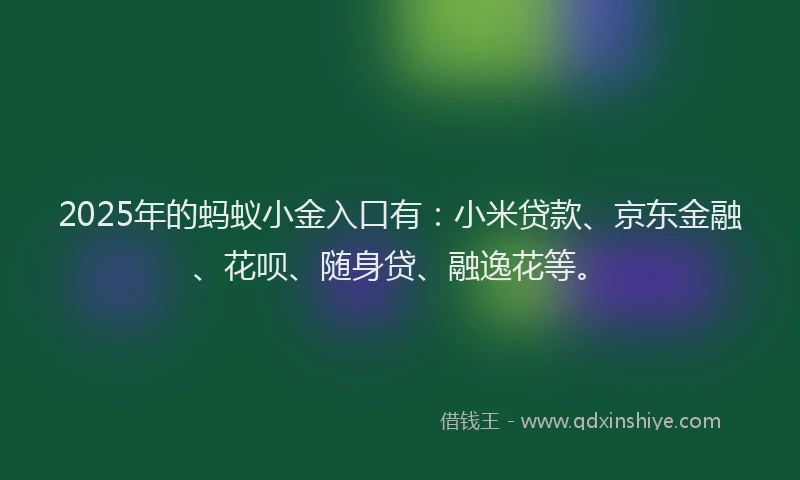 2025年的蚂蚁小金入口有：小米贷款、京东金融、花呗、随身贷、融逸花等。