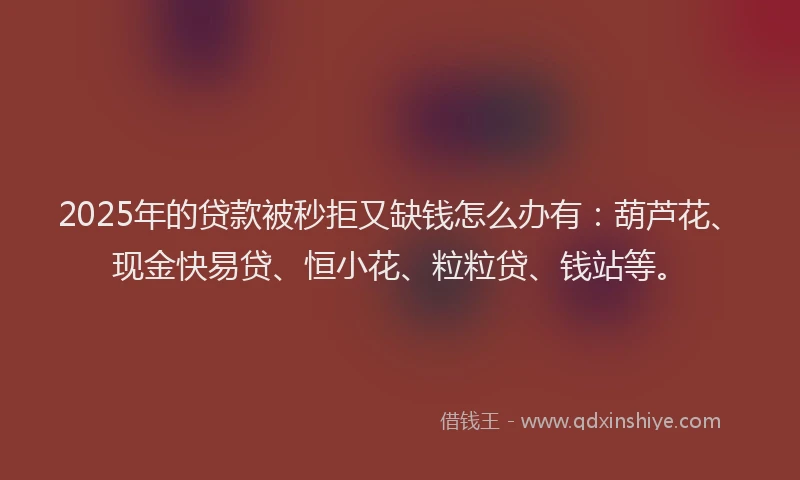 2025年的贷款被秒拒又缺钱怎么办有：葫芦花、现金快易贷、恒小花、粒粒贷、钱站等。