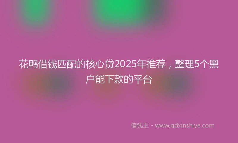 花鸭借钱匹配的核心贷2025年推荐，整理5个黑户能下款的平台