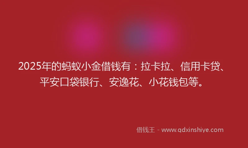 2025年的蚂蚁小金借钱有：拉卡拉、信用卡贷、平安口袋银行、安逸花、小花钱包等。