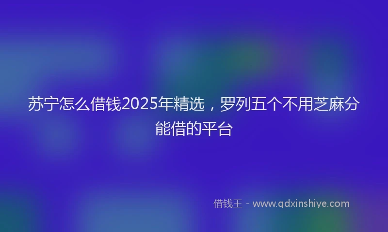 苏宁怎么借钱2025年精选，罗列五个不用芝麻分能借的平台