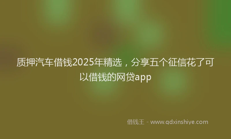 质押汽车借钱2025年精选，分享五个征信花了可以借钱的网贷app