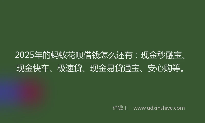 2025年的蚂蚁花呗借钱怎么还有：现金秒融宝、现金快车、极速贷、现金易贷通宝、安心购等。