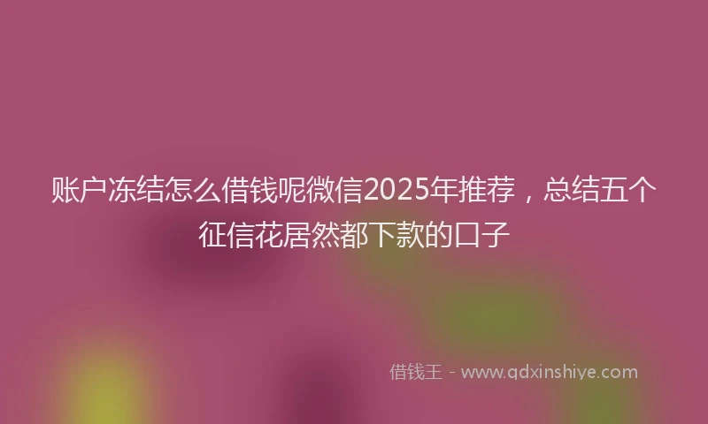 账户冻结怎么借钱呢微信2025年推荐，总结五个征信花居然都下款的口子
