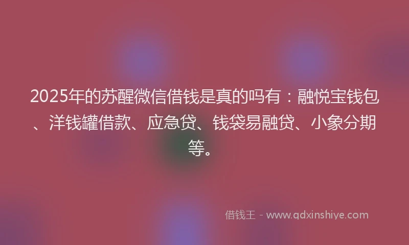 2025年的苏醒微信借钱是真的吗有：融悦宝钱包、洋钱罐借款、应急贷、钱袋易融贷、小象分期等。