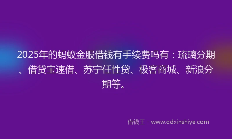 2025年的蚂蚁金服借钱有手续费吗有：琉璃分期、借贷宝速借、苏宁任性贷、极客商城、新浪分期等。