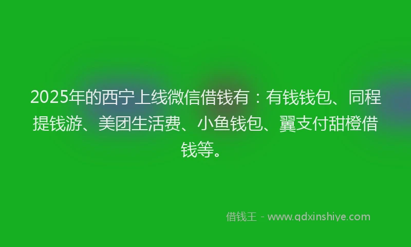 2025年的西宁上线微信借钱有：有钱钱包、同程提钱游、美团生活费、小鱼钱包、翼支付甜橙借钱等。