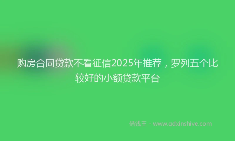 购房合同贷款不看征信2025年推荐，罗列五个比较好的小额贷款平台
