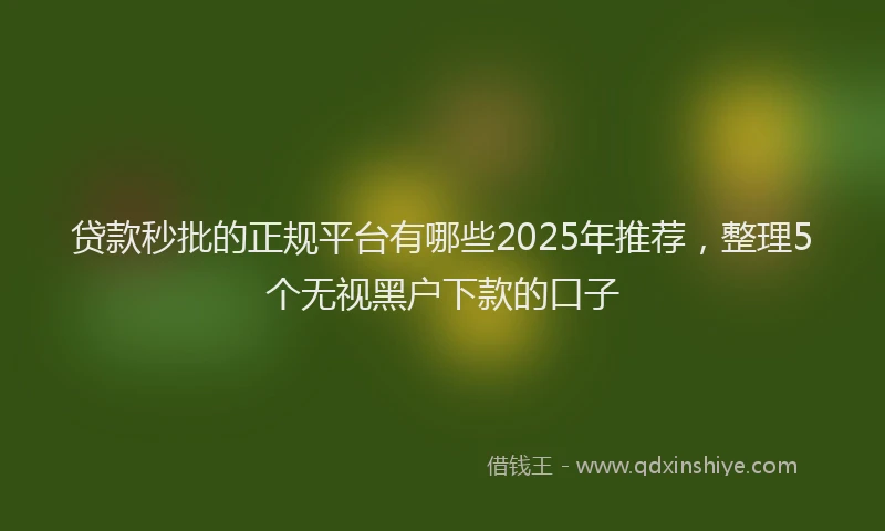 贷款秒批的正规平台有哪些2025年推荐，整理5个无视黑户下款的口子