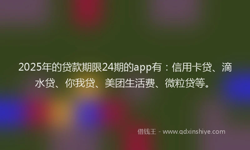 2025年的贷款期限24期的app有：信用卡贷、滴水贷、你我贷、美团生活费、微粒贷等。