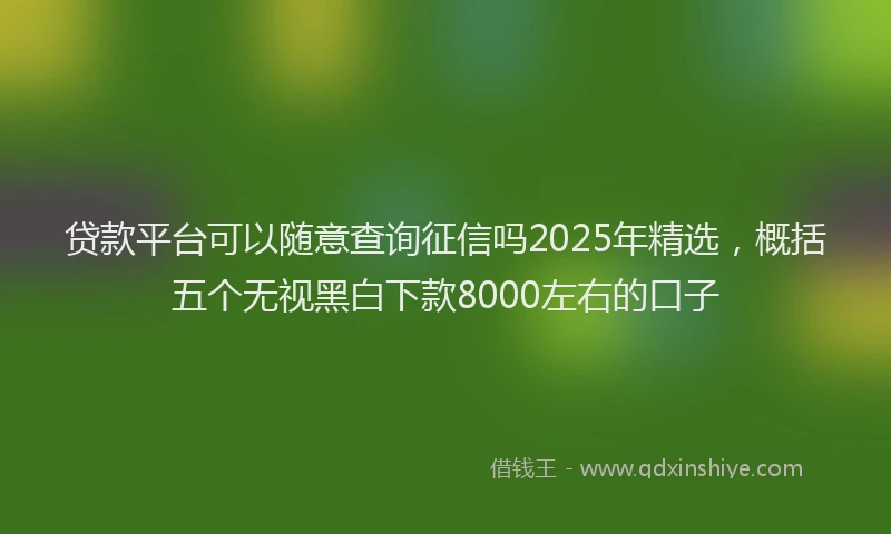 贷款平台可以随意查询征信吗2025年精选，概括五个无视黑白下款8000左右的口子