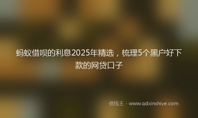 蚂蚁借呗的利息2025年精选，梳理5个黑户好下款的网贷口子