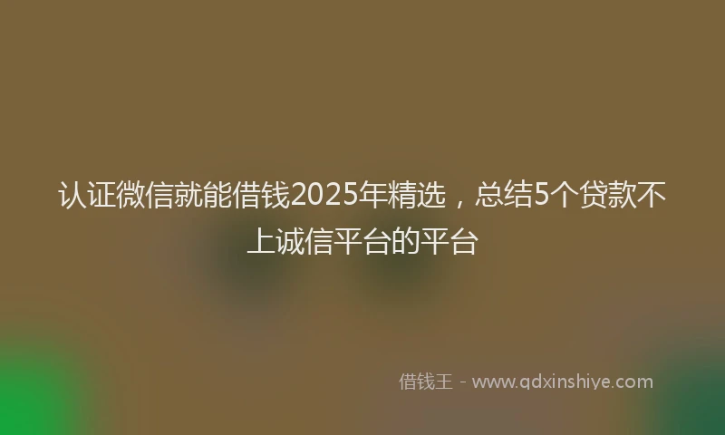 认证微信就能借钱2025年精选，总结5个贷款不上诚信平台的平台