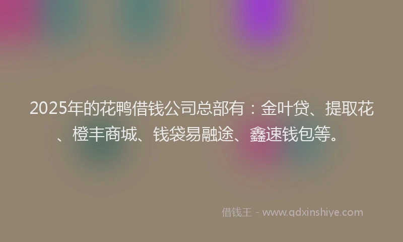 2025年的花鸭借钱公司总部有：金叶贷、提取花、橙丰商城、钱袋易融途、鑫速钱包等。