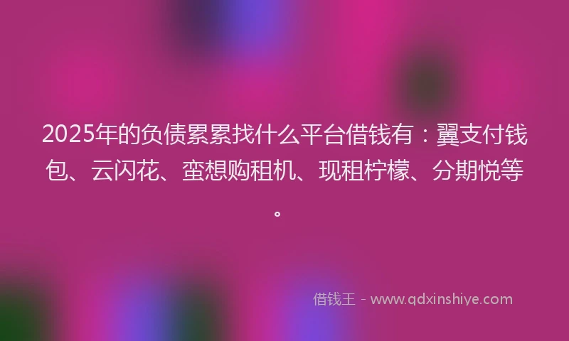 2025年的负债累累找什么平台借钱有:翼支付钱包、云闪花、蛮想购租机、现租柠檬、分期悦等。