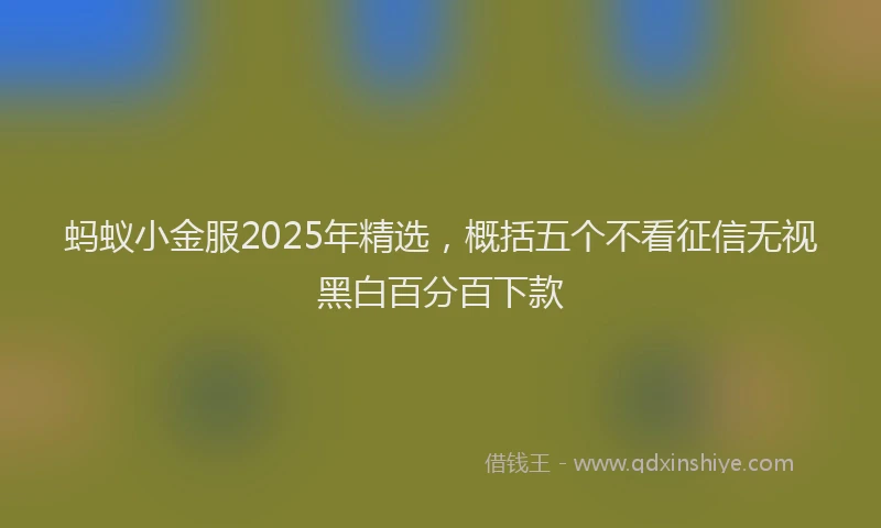 蚂蚁小金服2025年精选，概括五个不看征信无视黑白百分百下款