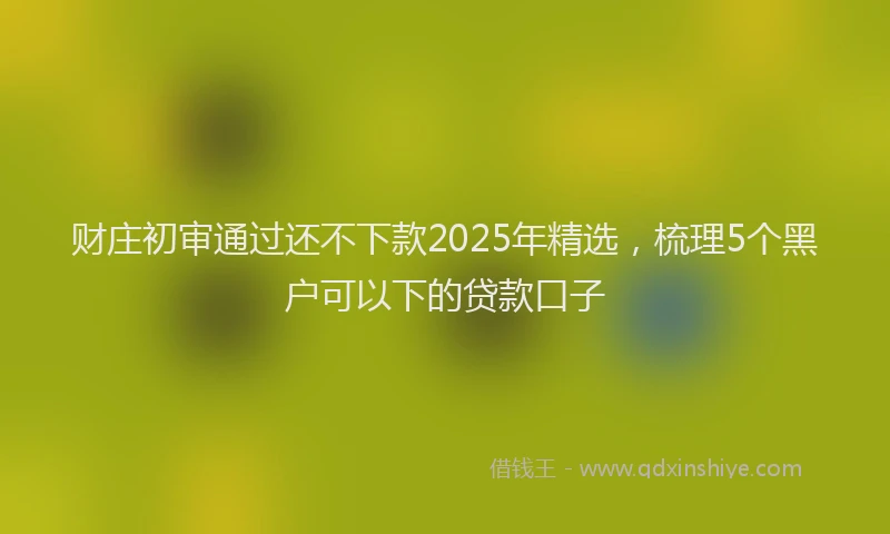 财庄初审通过还不下款2025年精选，梳理5个黑户可以下的贷款口子